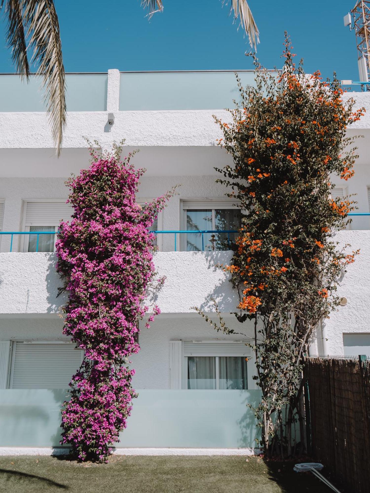 Hostal Las Gaviotas Del Cabo San José Dış mekan fotoğraf